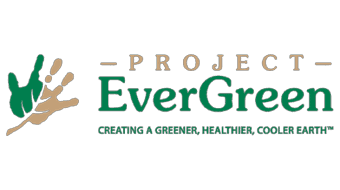 Cause Logo